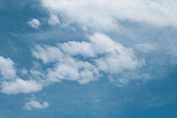 Naklejka premium NUVENS