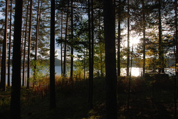 Naklejka premium Schwedensee