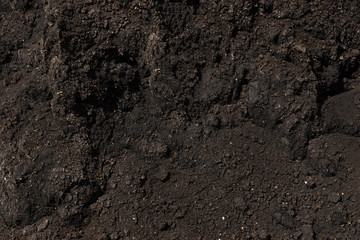 Background dark fertile soil with compost for planting on the farm