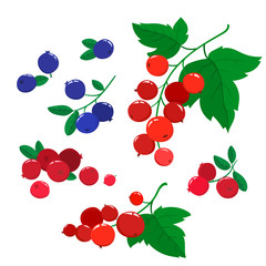 Vector set cartoon cranberries and blueberries with green leaves isolated on a white background. Bright berries branch.