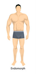 Male body types.