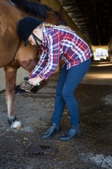 Girl grooming the horse