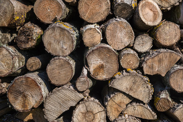 background of firewood stack