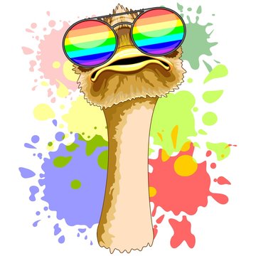 Funny Ostrich with Rainbow Sunglasses
