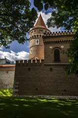 Fototapeta na wymiar zamek, forteca 
