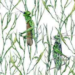 Background of grasshoppers in the grass. Seamless pattern for fabric.