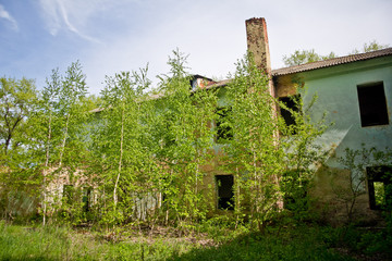 Fototapeta na wymiar Overgrown ruined abandoned house