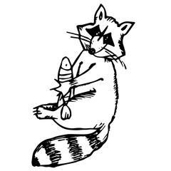 Funny raccoon with a fish. Black contour illustration of raccoon isolated on white background. Animal cartoon character. For kids, prints, posters, design, clothes, advertising, coloring book pages.