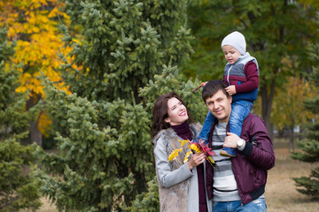 family walks, the autumn