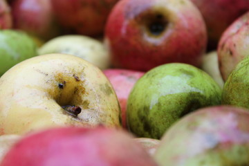 manzanas