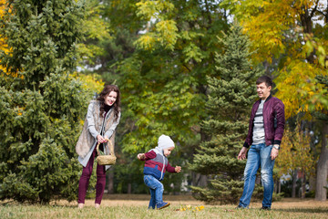 family walks, the autumn