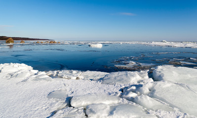 Spring melting ice on the beach of Baltic sea
