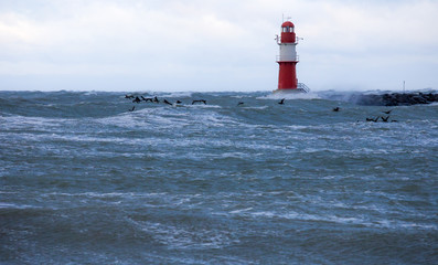 Cormorants fly by storm over the sea past a lighthouse