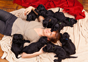 Young woman and ten puppies dog breed Black Russian Terrier one month of age
