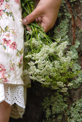 The girl is holding the flower called 