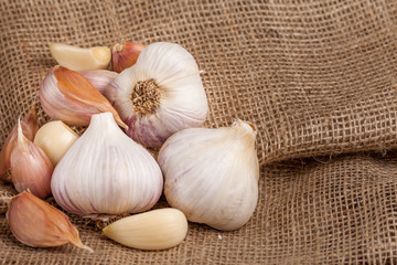 Garlic horizontal banner. Eco farming concept. Whole garlics and cloves on piece of sacking textured background. Organic food.