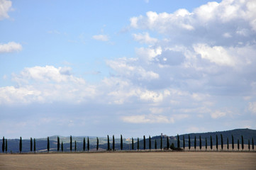 Toscana Zypressen Allee