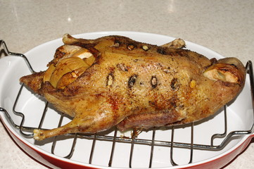 duck with apples
