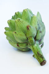 Artichoke