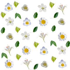 Seamless pattern with white flowers and green leaves on a white background
