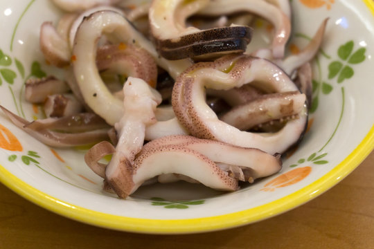 真イカ Photos Royalty Free Images Graphics Vectors Videos Adobe Stock