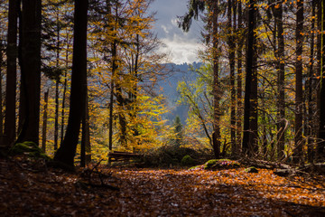 scenic autumn landscape mountain view
