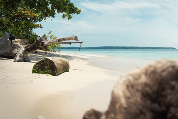 Schöner Sandstrand in Panama mit türkisem Wasser und angespültem Treibholz