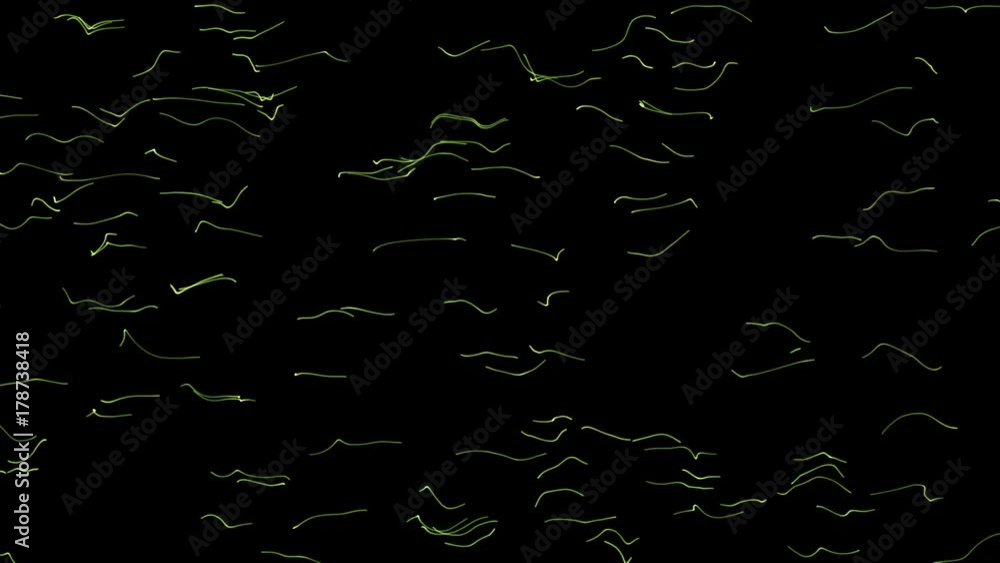 Poster a large number of lines run around the screen