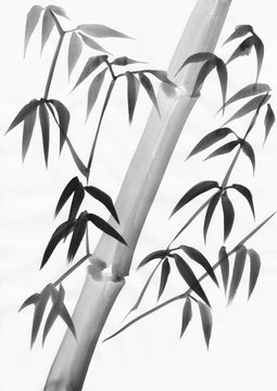 Watercolor painting of bamboo leaves with a slanted stalk. Black gouache on white paper study.