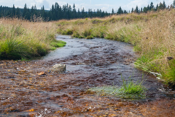Mountain stream
