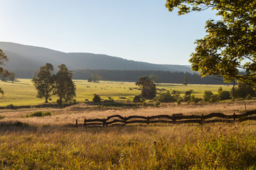 Fototapeta premium Mountain meadow in the soft light of the sun