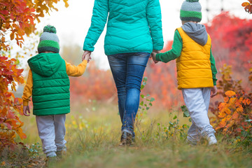 Mother and two sons walking in the autumn Park holding hands.