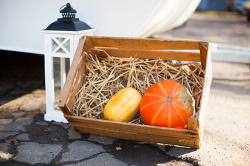 A beautiful photo of pumpkins in a drawer and near a lantern