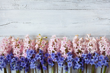 Pink and blue hyacinths on a wooden background