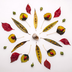 Autumn colours mandala © Katarzyna