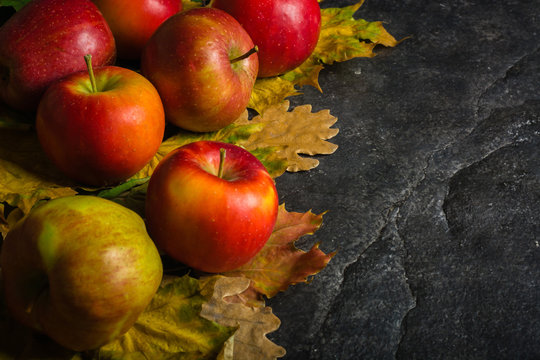 Autumn dark background or frame of fallen yellow leaves and ripe red apples. Frame for text or photo. Applicable for an article about autumn or crop.