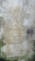 Vintage old wall.Rough dirty white background. consists of cement with elements of natural green and black mold, rust. Texture as a retro pattern wall, wall banner or background, grunge.