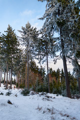 03.12.2016 Sokolec Gory Sowie fot. Marek Durajczyk © Marek Durajczyk