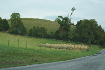 Rolls of Hay