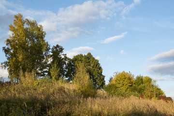 Fototapeta premium Autumn landscape