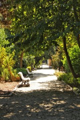Green and leafy garden in Valencia, Spain