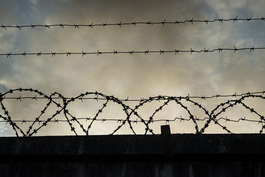 Barbed wire on dark fence.