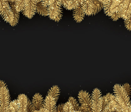 Black background with spruce branches.