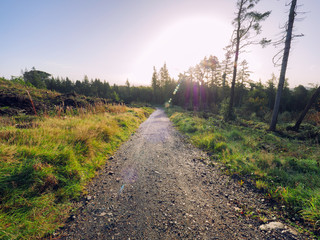 Early Autumn countryside morning,Northern Ireland
