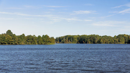 Trees on the shore of a blue lake in late summer