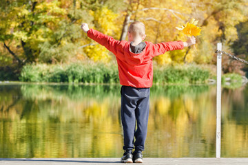 Fototapeta na wymiar Boy in red jacket standing on the dock with leaves in his hand. Autumn, sunny. View from the back