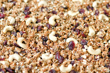Granola with cashews and cranberries. Close-up