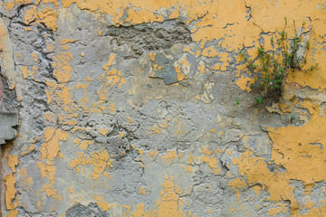 Rusted grunge painted concrete wall background texture
