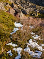 First snow fall on alpine floor