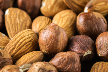 Raw brown hazelnut on heap, macro image